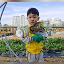 예인나라어린이집 이미지