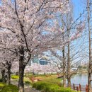 평택시 배다리저수지2 이미지