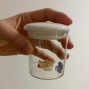 시온산후조리원 | 세종 시온 산후조리원 14일차 후기