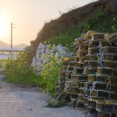 선학동민박 이미지