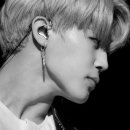 뮤즈21 스타뉴스