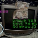 위시나떼 이미지