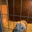 록원농장 이미지