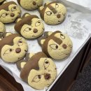 연승기획 | 늑구빵 성심당 하레하레 대전 돌아온 가격 후기 실제 파는곳 팩트체크