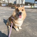 봄이온동물병원 이미지