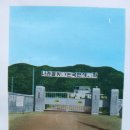 군위여자중학교(대구) 2회