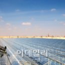 로얄태양광발전소 이미지