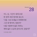 276)마음속엔 꽃.밖에는 비 이미지