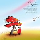 신비 동물의 왕국' 2018. 12. 9(일요특집 이미지