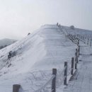 소백산향기나라 이미지