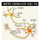 시를 암송해 '순간포착 세상에 이런 일이' 방송에 나온 박성춘 세무사...박성춘 암송시 1000선, 출판기념회 기대되다 이미지