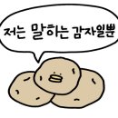 거북이과자점 이미지