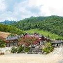 표충사 이미지