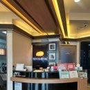 레알피부전문동물병원 이미지