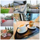 덕진-23 | 전주 덕진구 대형카페 수목원 전북혁신도시 커피 소금빵 맛집 디오니카페