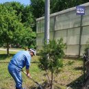 한돈농장 이미지