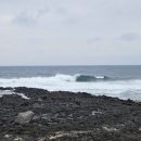 표선리-16 이미지