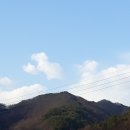 화천동물병원 이미지