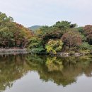 시골사람 서울 상경기 이미지