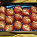 대구경북능금농협(청송) APC | 명절선물세트는 과일삼촌 과일선물세트를 추천합니다:)