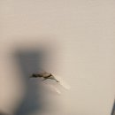 보수아파트 이미지