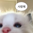 제주스럽다