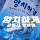 다다덴탈 이미지