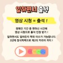 누리카 이미지