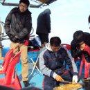 관광 꿈꾸는숲 펜션 이미지