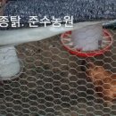 신광유치원 이미지