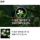 2024년5월15일 수요산행761회. 감투봉왕복 이미지