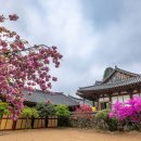 (기획투어)체험순천 이미지