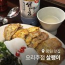 낭만살쾡이