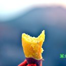 안면도농산 이미지