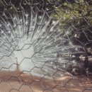 유동물원 이미지