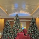 아뮤즈호텔 | 롯데호텔 서울 미슐랭 파인다이닝 ‘피에르가니에르’ 런치코스 후기