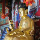 영월 보덕사 목조아미타삼존불좌상 이미지