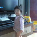 내사랑똥강아지 이미지