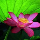 생성의 문(生成의  이미지