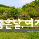 부천무릉도원수목원 티스토리