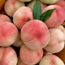 우리경봉환경 | 입안가득 행복! 딱복소녀가 키운 복숭아를 소개합니다.