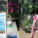 마이네키정발산점 이미지