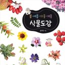 식물도감 네이버블로그