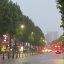 봉제산 유아숲체험원 이미지