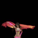 밸리댄스 이미지