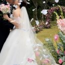 [W-8]전주 아엘르, 플라워 디렉팅 업체 고르기(억겁의 시간을 고민 하는 중/4개업체 비교)