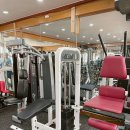 철인헬스클럽 이미지