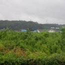 상암1리 이미지