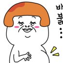 심재희 밀밭 이미지