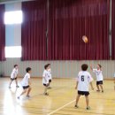 효돈초등학교 이미지